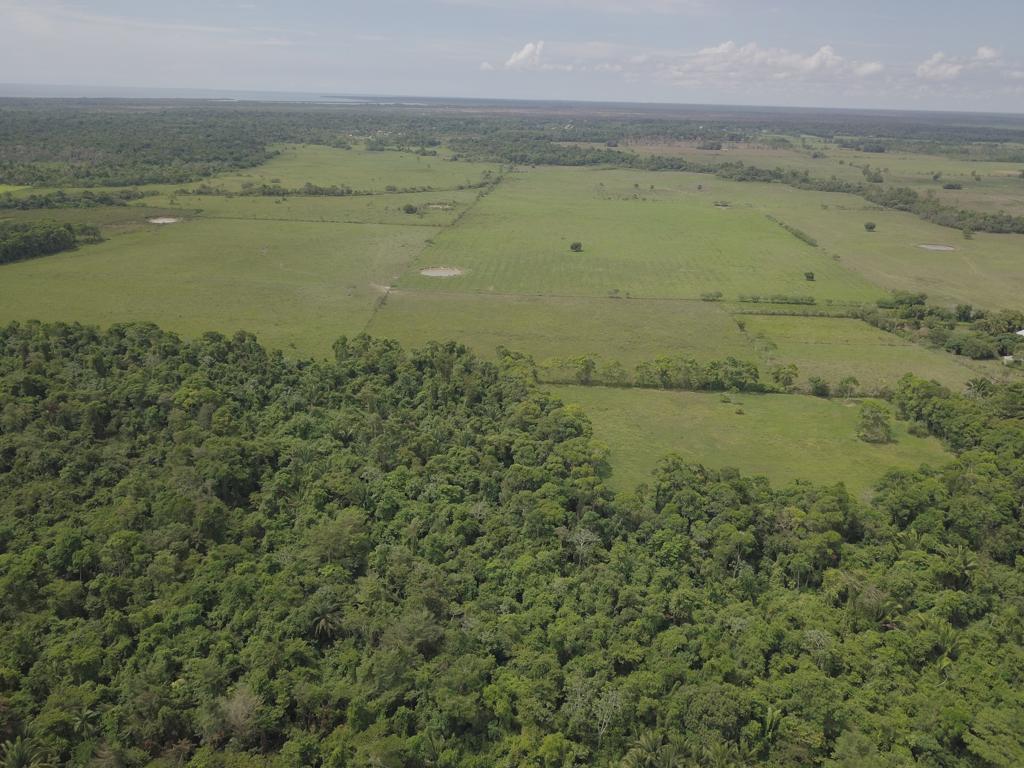 listing image with ID 57551