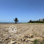 listing image thumbnail with ID 57775