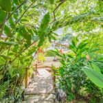 listing image thumbnail with ID 56801