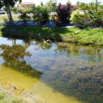 listing image thumbnail with ID 57442