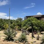 listing image thumbnail with ID 57000