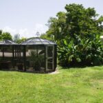 listing image thumbnail with ID 57491