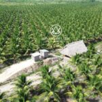 listing image thumbnail with ID 58995