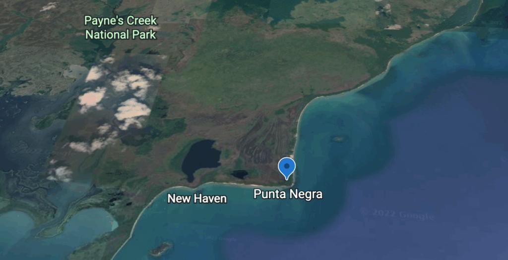 listing image with ID 59095