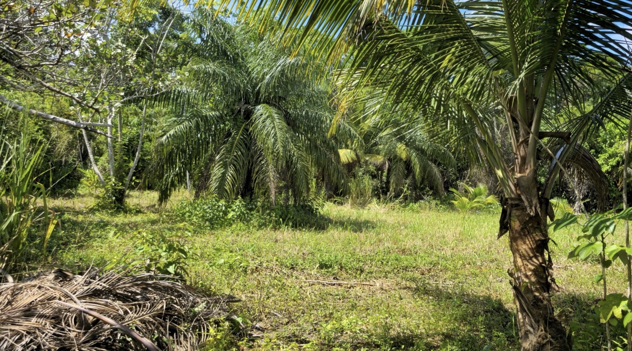 listing image with ID 70023