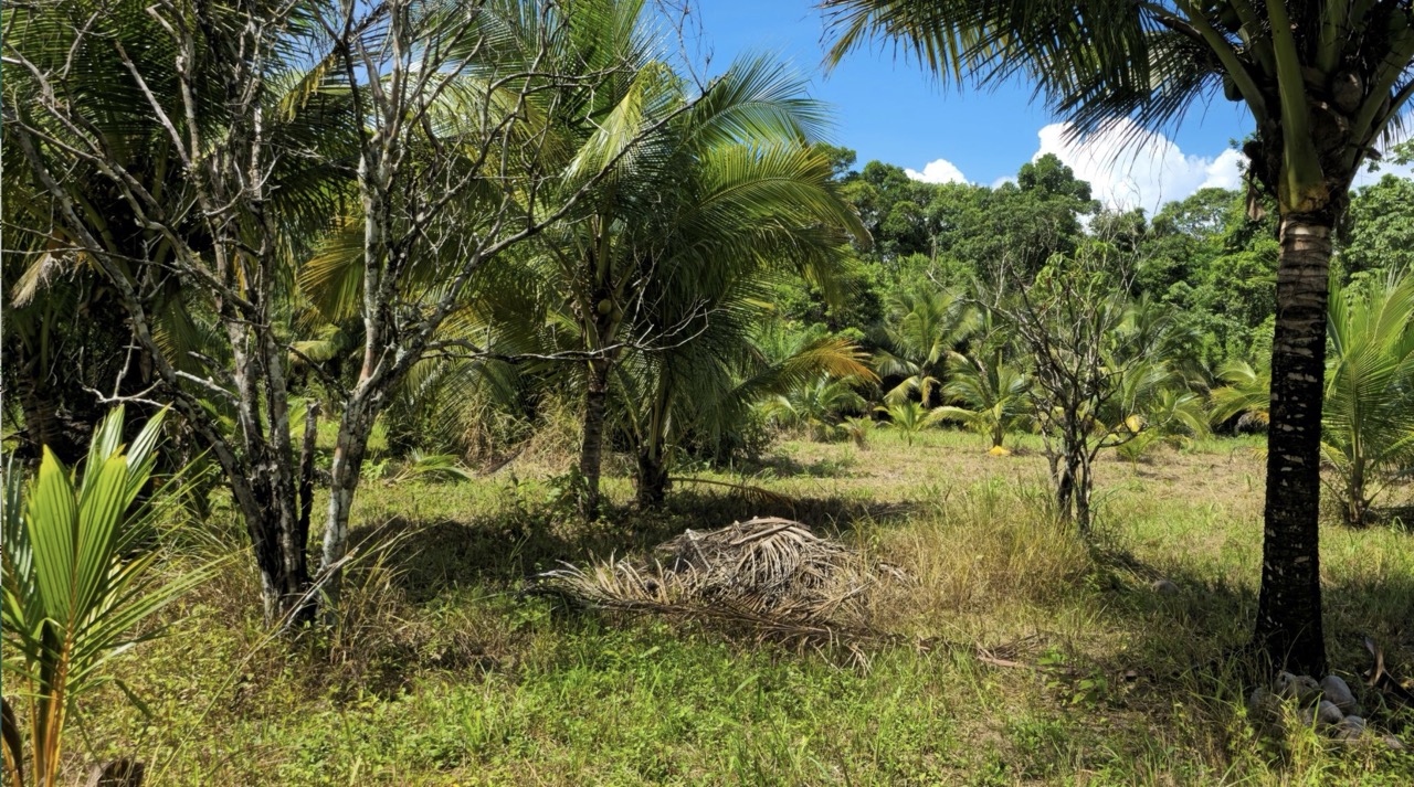 listing image with ID 70022