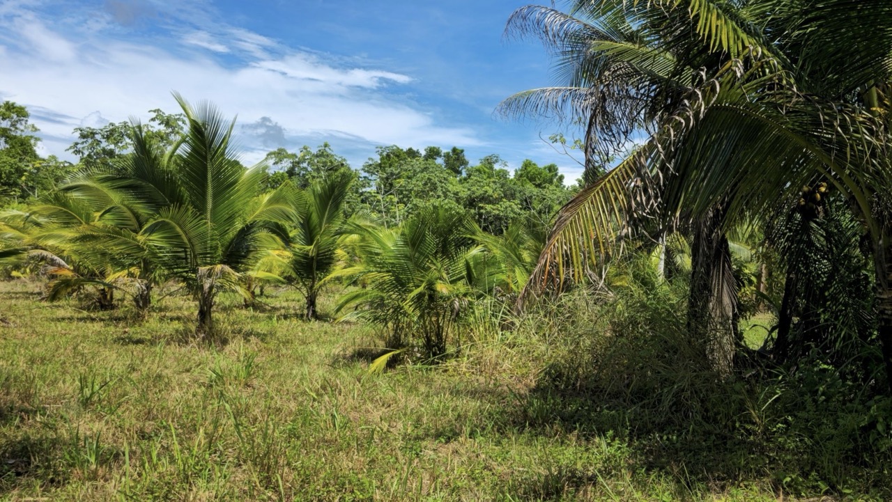 listing image with ID 70021