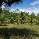 listing image thumbnail with ID 70020