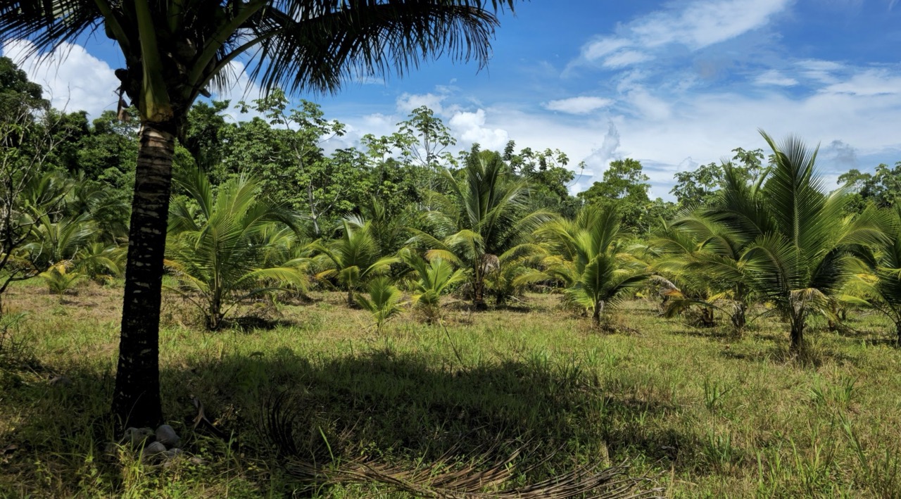 listing image with ID 70020