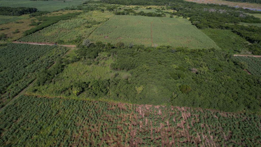 listing image with ID 59276