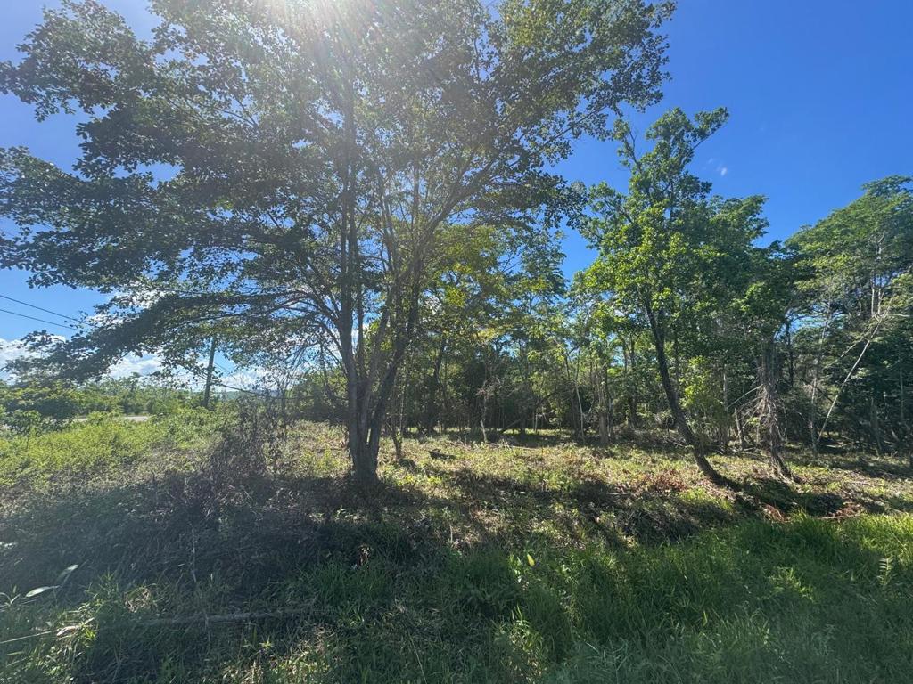 listing image with ID 59316