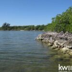 listing image thumbnail with ID 59146