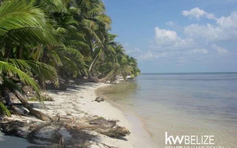 listing image with ID 59202