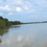 listing image thumbnail with ID 59434