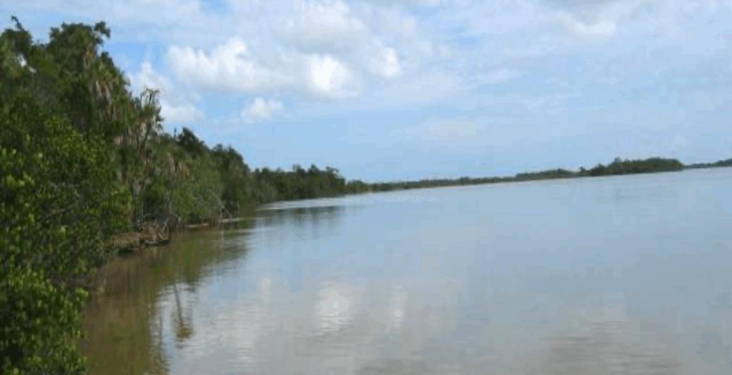 listing image with ID 59434