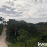 listing image thumbnail with ID 58681