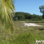 listing image thumbnail with ID 59145