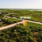 listing image thumbnail with ID 58596