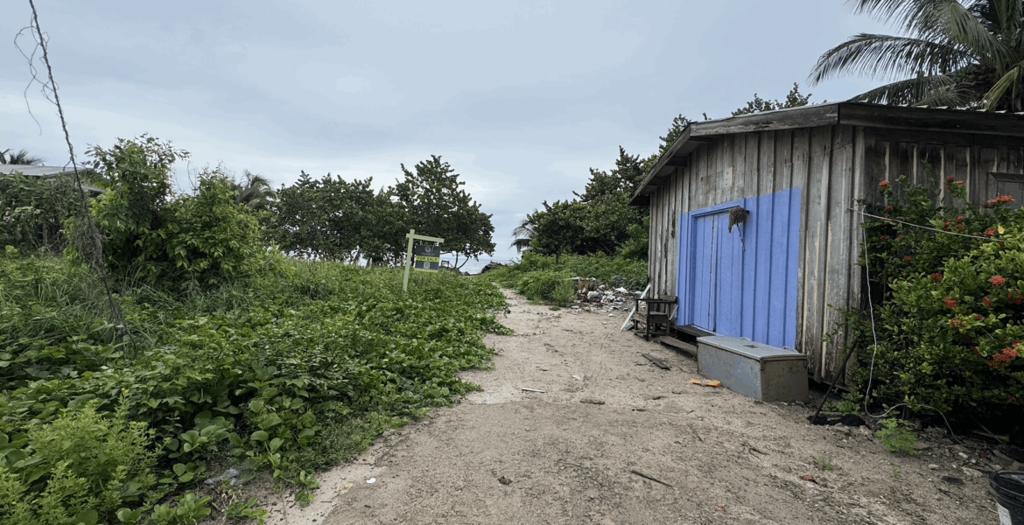 listing image with ID 59080