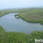 listing image thumbnail with ID 59188