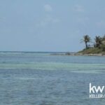 listing image thumbnail with ID 59197