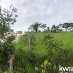 listing image thumbnail with ID 58683