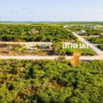 listing image thumbnail with ID 58595