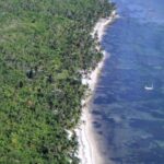 listing image thumbnail with ID 59194