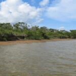 listing image thumbnail with ID 59089