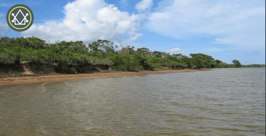 listing image with ID 59089