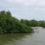 listing image thumbnail with ID 59088