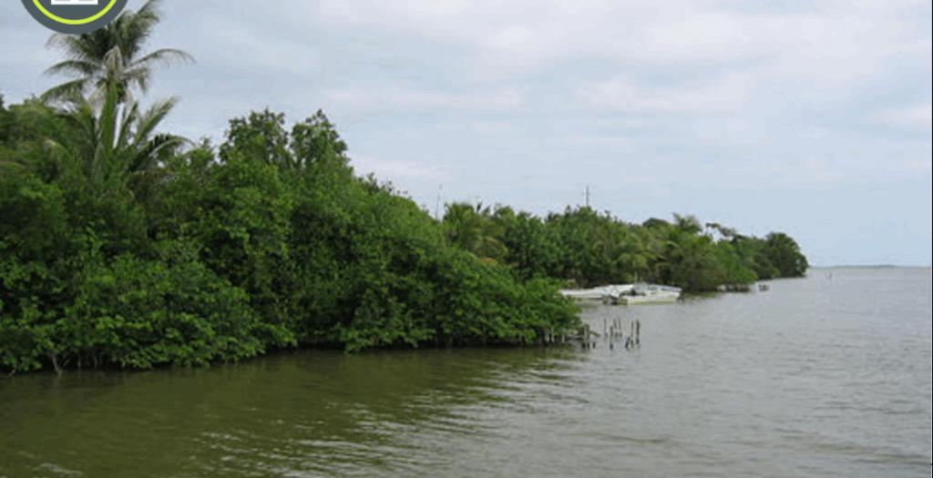 listing image with ID 59088