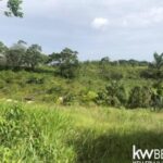 listing image thumbnail with ID 58671