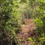 listing image thumbnail with ID 58694