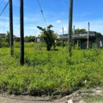 listing image thumbnail with ID 58852