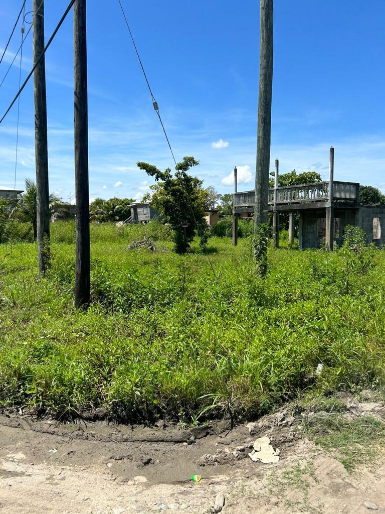 listing image with ID 58852