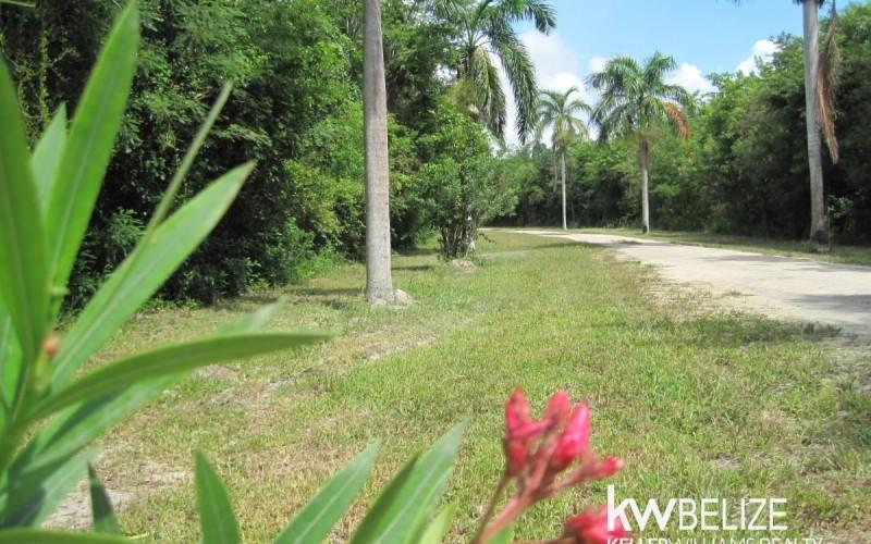 listing image with ID 59148