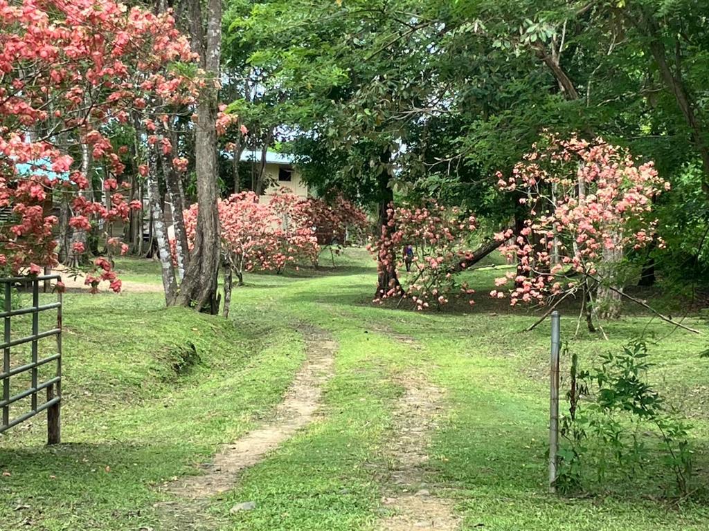 listing image with ID 59206