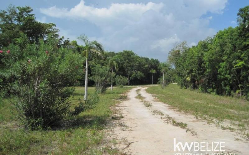 listing image with ID 59136