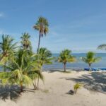 listing image thumbnail with ID 59460