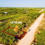 listing image thumbnail with ID 58593