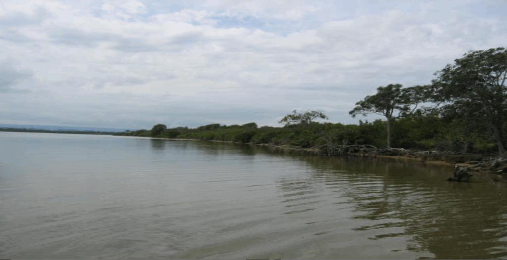 listing image with ID 59432