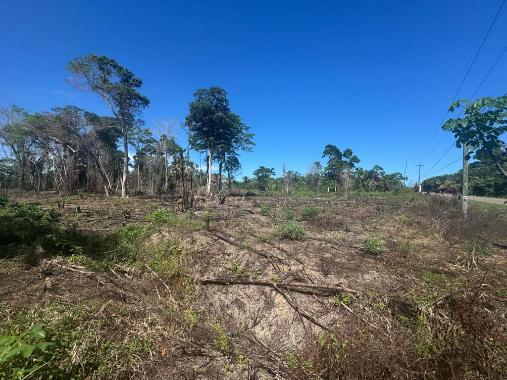 listing image with ID 59123