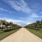 listing image thumbnail with ID 58647