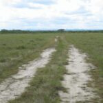 listing image thumbnail with ID 59090