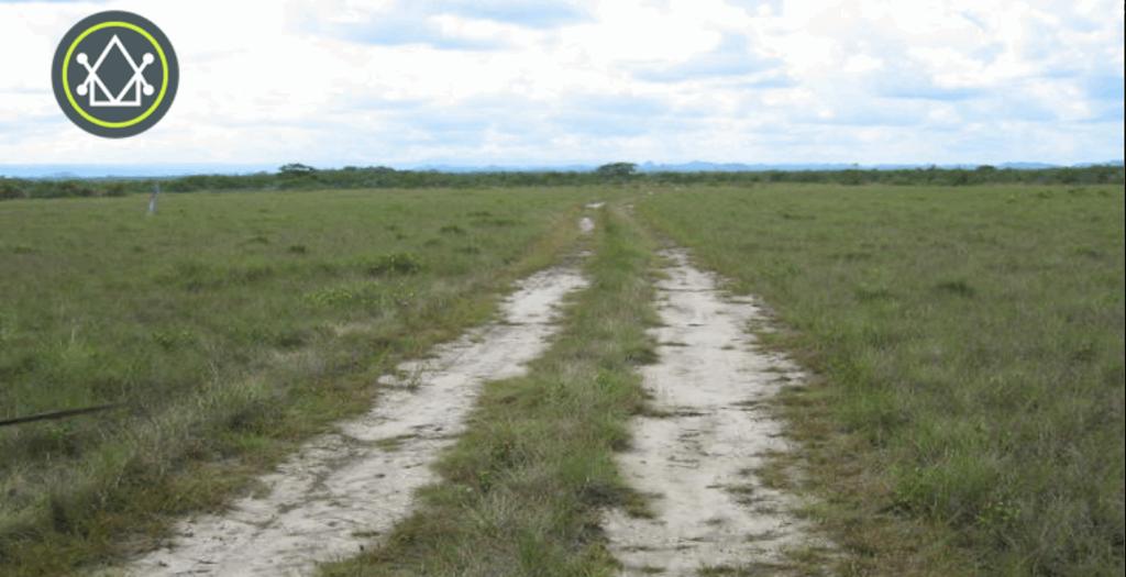 listing image with ID 59090