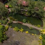 listing image thumbnail with ID 58521