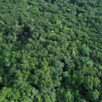 listing image thumbnail with ID 58373