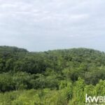 listing image thumbnail with ID 58678