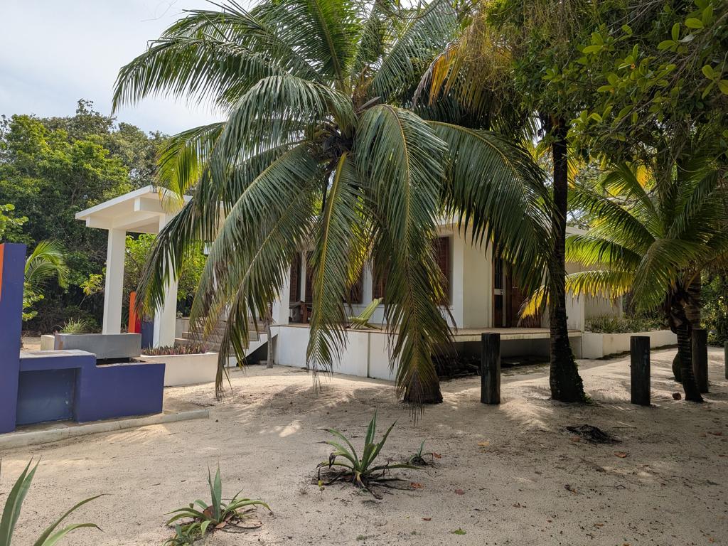 listing image with ID 58419